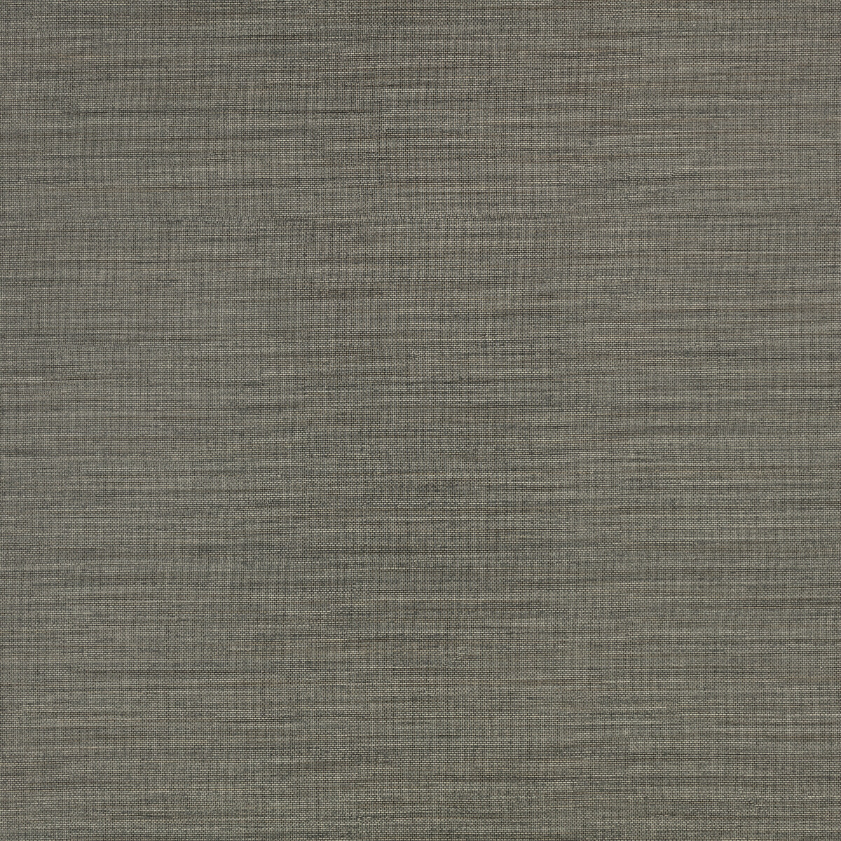 Ciro Abaca Embossed Magnet W462 09